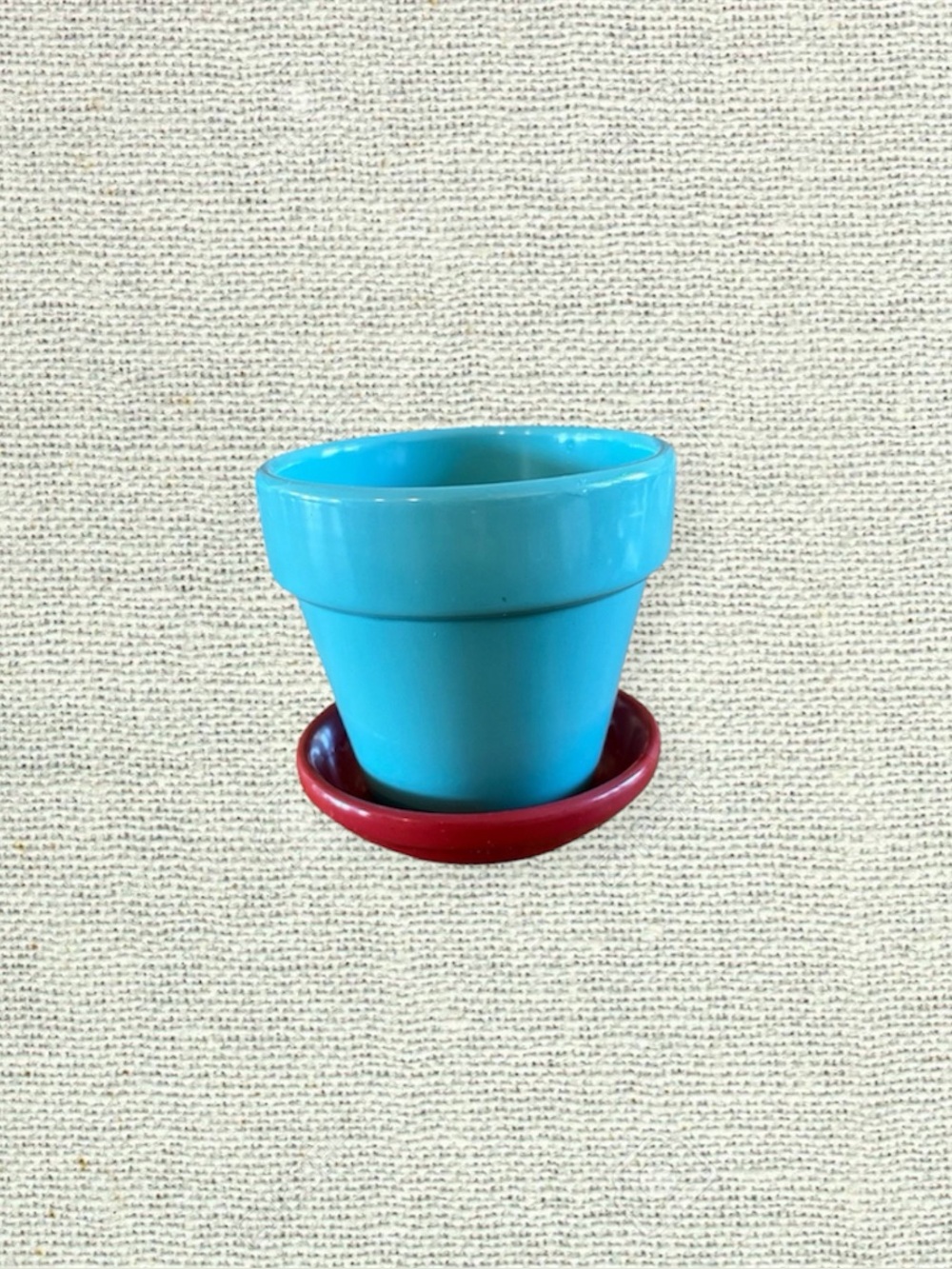 Mini Ceramic Succulent Planter w/ Saucer